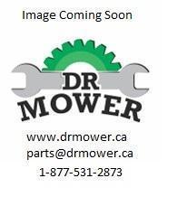 BCS58020258 BCS Gear Speed Spring